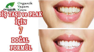 dis plagi temizligi icin organik kurler organik doktorum organik yasam kocunuz dis dogal menopoz