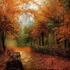 Saison Automne Page 4 Autumn Scenery Autumn Scenes Autumn Park