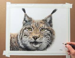 Leopard in graphite by sarahharas07 on deviantart. I Create Hyperrealistic Pencil Drawings Of Animals Bored Panda