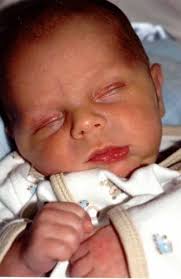 Births In Transylvania