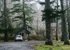 Maybe you would like to learn more about one of these? Field Forest Olympic Nat L Park