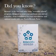 Reboot Is The First And Only 3 Day Scientific Reboot Program Designed To Reset Your Gut Brain Axis And Pro Detoxification Program Gut Brain Mental Wellness