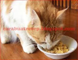 Check spelling or type a new query. Cara Membuat Makanan Kucing Dari Tempe Resep Masakan Indonesia