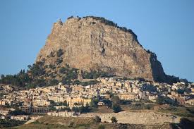 Image result for Sutera debilis