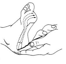 Image result for Babinski Reflex