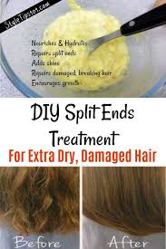 Simply mix one part apple cider vinegar with two parts water into your hair, avoiding the scalp. Diy Split Ends Treatment Split End Treatment Hair Treatment Damaged Damaged Hair