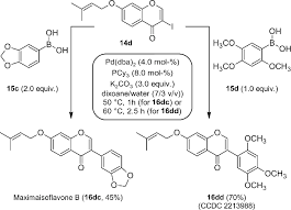 Image result for Sopubia ugandensis