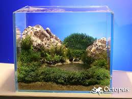 Slobodan Lazarevic Mountain Lake Aquarium Landscape Tropical Fish Aquarium Aquarium Sand