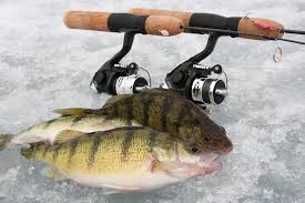 Learn What Tackle And Gear You Need To Catch Jumbo Perch Through The Ice World Fishing Network Ice Fishing Ice Fishing Gear Fish