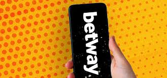 What is the best mobile app for ipl? Best Indian Sports Betting Apps 2021