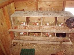 Check spelling or type a new query. Free Chicken Coops Plans Chicken Coop Nesting Box Location
