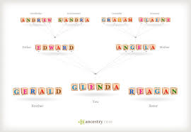 Understanding Patterns Of Inheritance Where Did My Dna Come