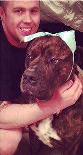 Joni Harrison's Instagram, Twitter & Facebook