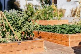 While wooden beds are available in kits, learning how to build a raised garden bed is a straightforward project suitable for those with some experience using common tools. 9 Free Raised Planter Box Plans For Your Yard Or Porch