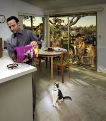 Whiskas Uludag Sozluk