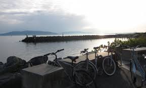 bellingham wa local tide times tide chart us harbors