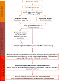 frontiers strategies for designing and monitoring malaria