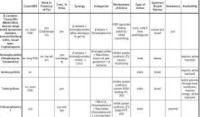 Veterinary Drug Overview Charts Veterinary Surgeon Vet