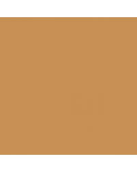 Image result for Bronze Mist 1959 Oldsmobile