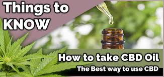 With the legalization of marijuana, edibles are gaining popularity. Everything About How To Use Cbd Oil Or Water Soluble Cbd What Dosage Rock Your Life Halle E V