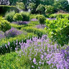 Neuestedekoration Com Gartendesign Ideen Pflanzen Italienischer Garten