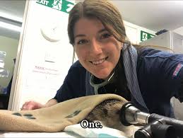 Jade The Vet Nurse