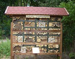 Insekten Insektenhotel Insekten Wildbienen