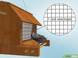 How to get rid of starlings. 11 Ways To Get Rid Of Starlings Wikihow