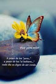 Pin De Angela En Vivir Para Volar Frases Pensamientos Frases Frases Ciertas