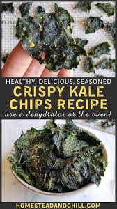 Homemade Seasoned Crispy Kale Chips Recipe Food Dehydrator Or Oven Baked Homestead And Chill Recipe In 2020 Kale Chip Recipes Kale Chips Recipes
