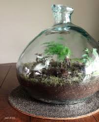 Glass Bottle Garden Diy Scratchandstitch Com Bottle Garden Plants In Bottles Plant In Glass