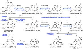 Get live crypto exchange rates, historical prices & charts for leo to eur with coincodex's free cryptocurrency calculator. Biosynthesis And Synthetic Biology Of Psychoactive Natural Products Chemical Society Reviews Rsc Publishing