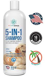 Buying a reliable shampoo for puppies is the best bet, but there are lots to choose from. The Best Puppy Shampoo Guide For 2021 For Silky Smooth Skin And Hair Animal Corner
