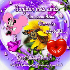 Bonjour Mes Amis Un Merveilleux Dimanche Ensoleille Bonjour Les Amis Image Bon Dimanche Bonjour Dimanche