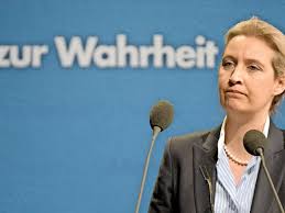 60 alice weidel stock video clips in 4k and hd for creative projects. Afd Spendenaffare Jetzt Scheint Klar Wer Alice Weidel Verraten Hat