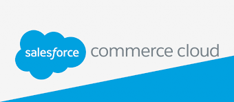 Salesforce Commerce Cloud Technical Lead Edelweiss Recrutement Ch