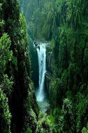 Jurnal de calatorii #101 indonezia este cea mai indragita tara de catre noi. Vodopad Tegenungan Indonezia Bali Places To Travel Waterfall Beautiful Waterfalls