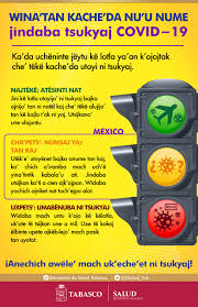 En conferencia de prensa, adalberto pérez lanz, subsecretario de los servicios de salud de tabasco, informó que la doctora. Materiales En Lenguas Indigenas Para Prevenir El Coronavirus Covid 19