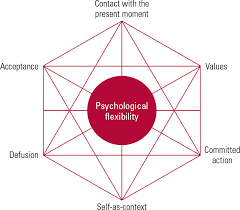 Acceptance and commitment therapy (act) is a type of psychotherapy that can be used in the treatment of social anxiety disorder (sad). Introduction To Acceptance And Commitment Therapy Advances In Psychiatric Treatment Cambridge Core