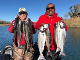 Membership is required to fish the club's 15 lakes. Kings Hitting At Berryessa Oroville As River Salmon Season Ends