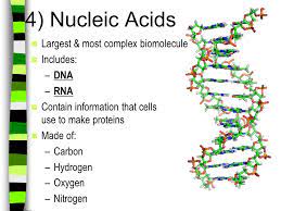 Dna or deoxyribonucleic acid is a long molecule that contains our unique genetic code. Biomolecules What Are Biomolecules Organic Compounds Made By Living Things Also Called Biochemicals Some Are Very Large There Are Thousands Of Different Ppt Download