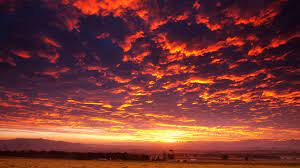 Make your images more visually appealing by adding sunset sky overlays that will create an unforgettable atmosphere in your photos. Sunset Sky Wallpapers Top Free Sunset Sky Backgrounds Wallpaperaccess