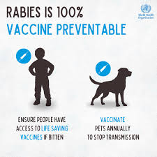 Image result for Rabies