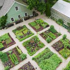 Pin On Edible Garden