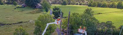 If you want to know where any utility easements are located on your property, call the utility company. Electricity Easements Ausgrid