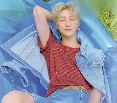 minghao seventeen ミンハオ ハオハオ seventeen ジョシュア