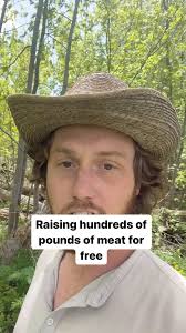 Link in bio to check out my video course to raise hundreds of pounds of  rabbit meat in your back yard in the cheapest way possible!, #homestead  #rabbits #foraging #rabbitmeat #selfsufficiency