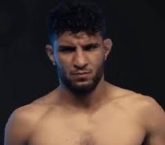 Shahid Jamil Ahmadzai