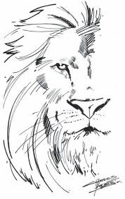 Tattoo Simple Lion Art 62 Ideas For 2019 Lion Sketch Lion Drawing Tattoo Design Drawings
