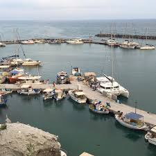 Instagram Photo By Debosweetparis Jun 26 2016 At 5 11pm Utc Coconut Smoothie Recipe Healthy Recipes Easy Snacks Good Healthy Recipes